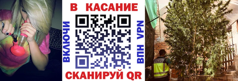 Виды наркотиков купить Хасавюрт Бошки Шишки  Амфетамин  MDMA  ГАШИШ  Меф  A-PVP  КОКАИН 