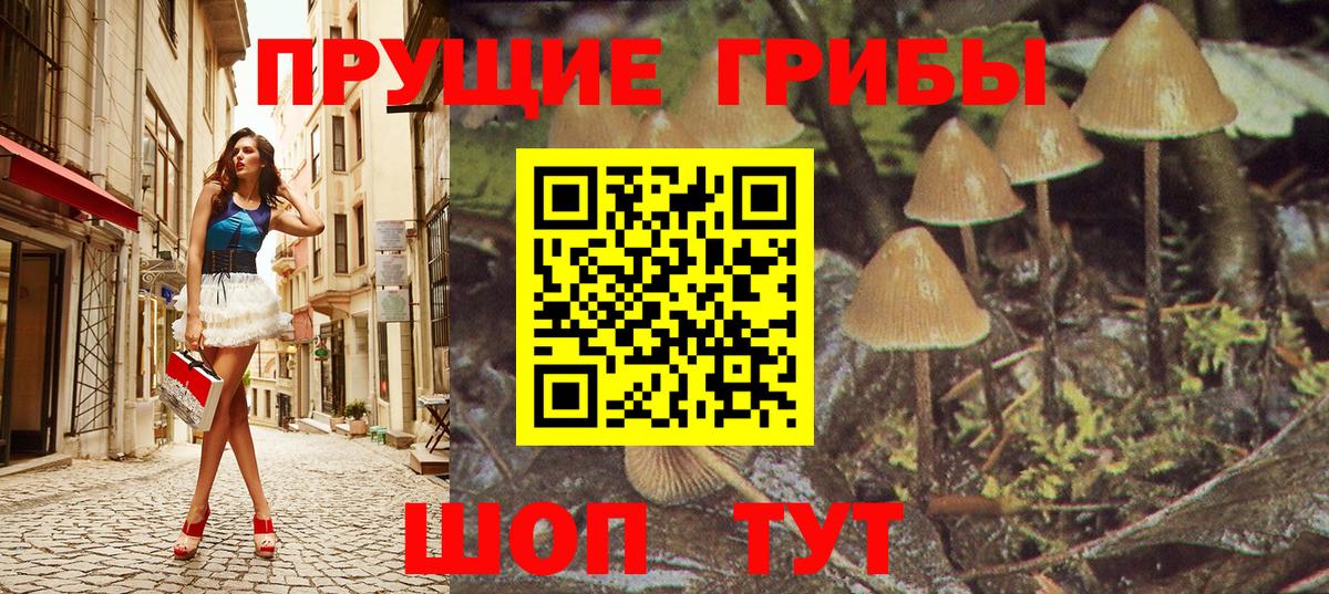 Псилоцибиновые грибы мухоморы Хасавюрт