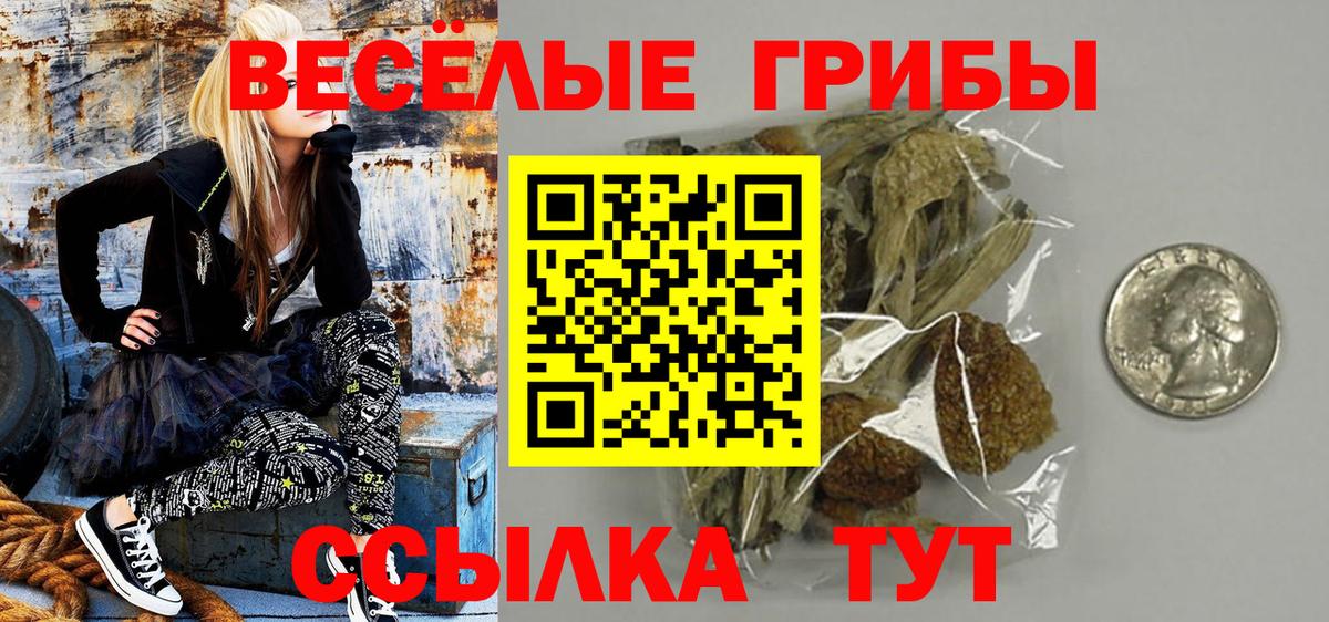 наркота  Галлюциногенные грибы Psilocybe  Вход с VPN  Хасавюрт  Псилоцибиновые грибы Magic Shrooms 